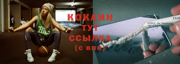spice Богородск