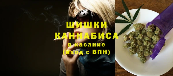 дмт Богородицк
