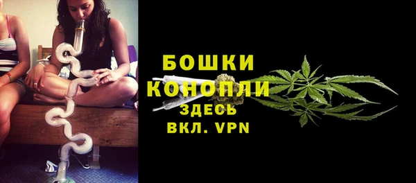 дмт Богородицк