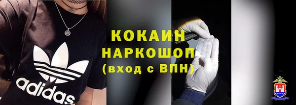 эйфоретик Богданович