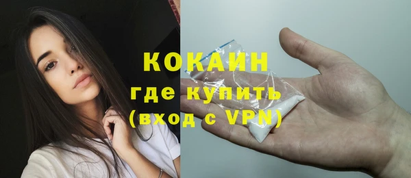 эйфоретик Богданович