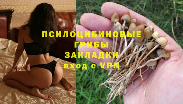 дмт Богородицк