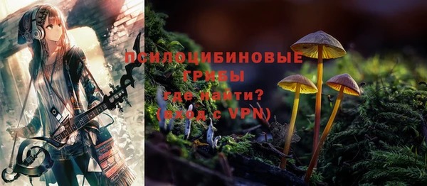 spice Богородск