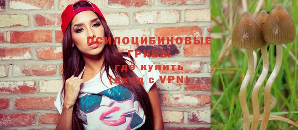 эйфоретик Богданович