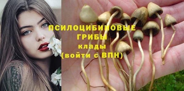 spice Богородск