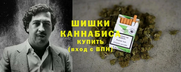 spice Богородск