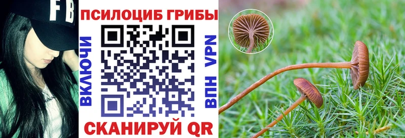 Галлюциногенные грибы Magic Shrooms  kraken tor  Ковдор  где можно купить  